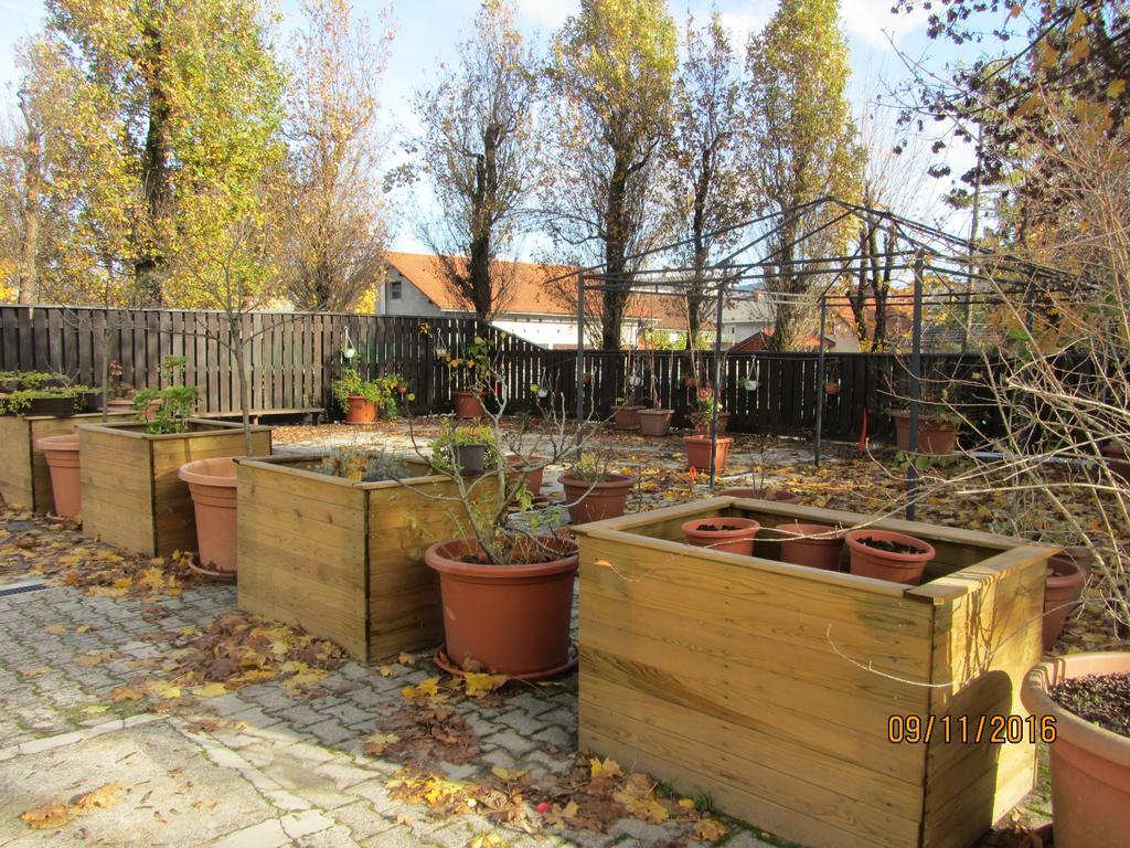 Villa Tollazzi Логатец Екстериор снимка